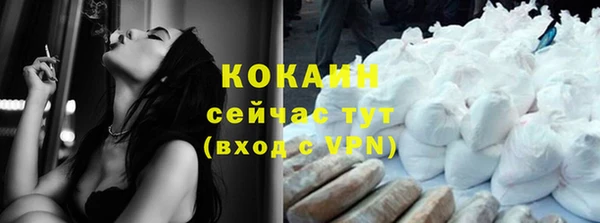 молекула духа Пересвет