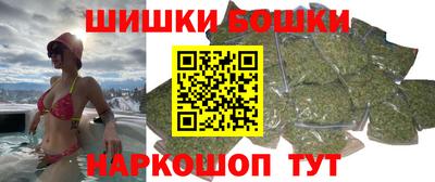 шишки Аргун