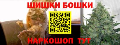 шишки Аргун