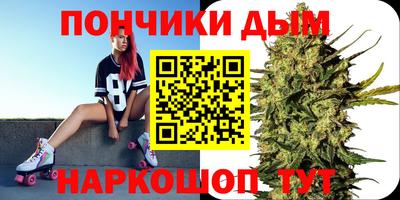 шишки Аргун
