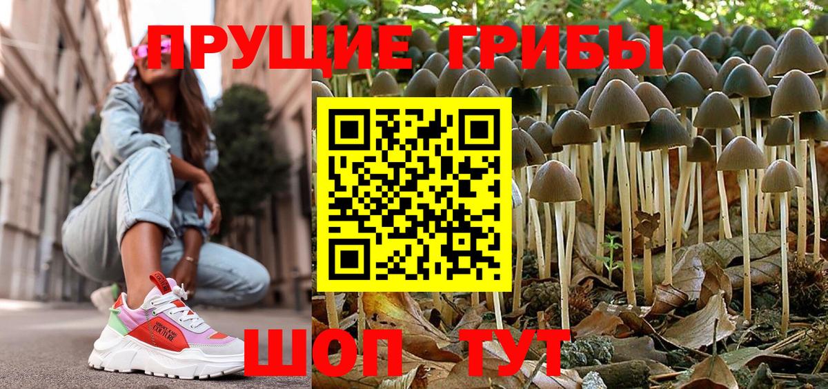 Псилоцибиновые грибы GOLDEN TEACHER  Вход с VPN  Белогорск 