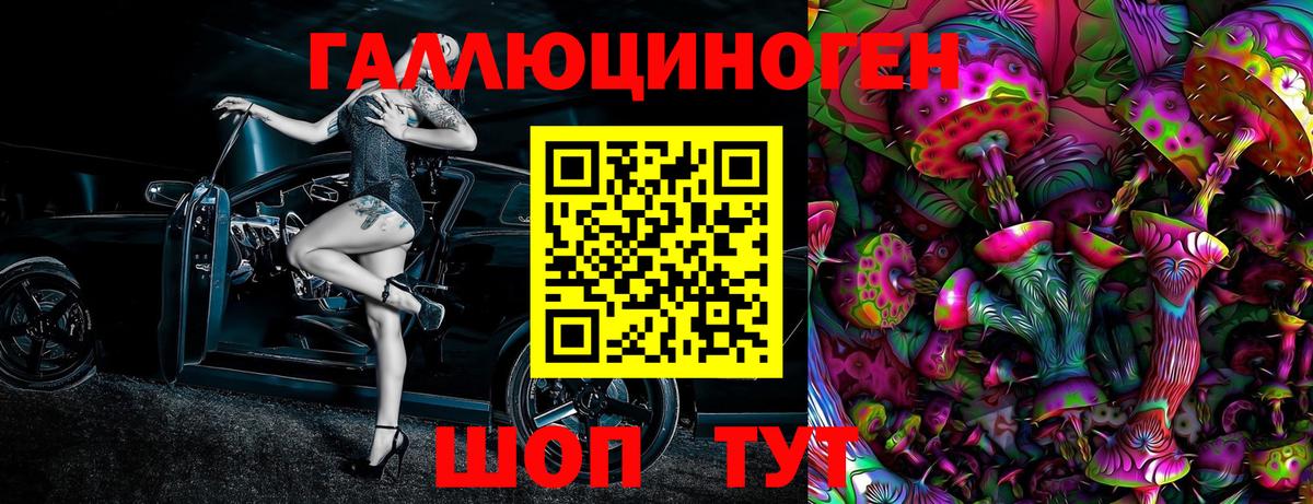 Псилоцибиновые грибы GOLDEN TEACHER  Белогорск  Псилоцибиновые грибы MAGIC MUSHROOMS 